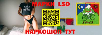 a pvp Свободный